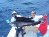 Sailfish Michael4.jpg